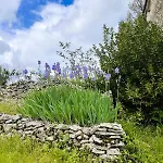 Chez Evelyne Hébergement de vacances Cajarc