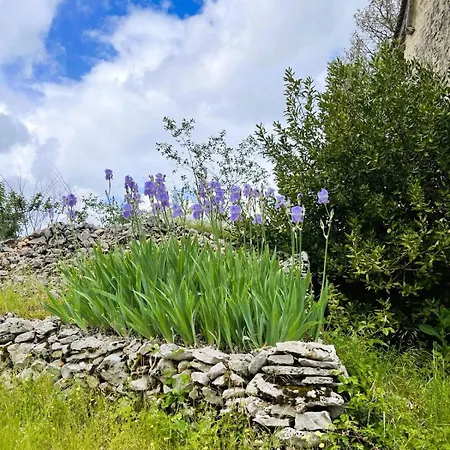 Chez Evelyne Ferienhaus Cajarc