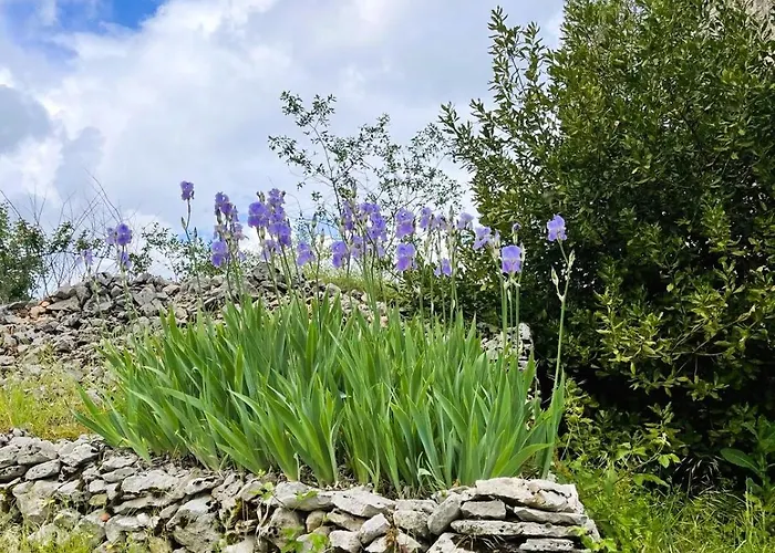 Chez Evelyne Prázdninový dům Cajarc